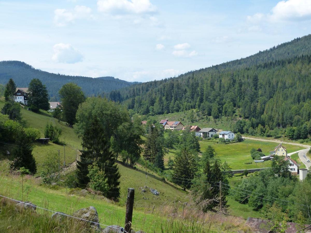 Ferienwohnung Haus Wiesengrund Forbach Ngoại thất bức ảnh